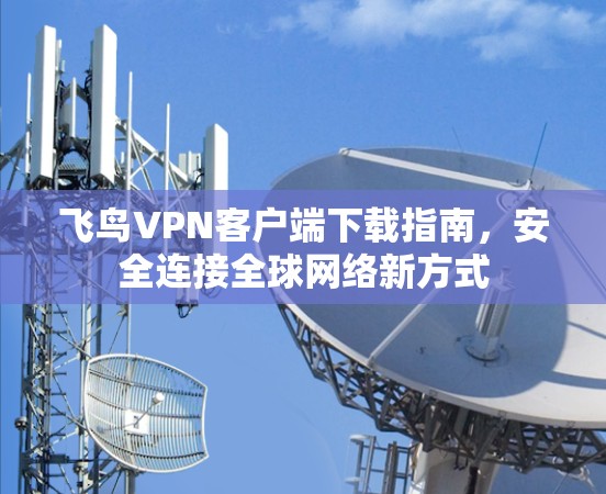 飞鸟VPN客户端下载指南，安全连接全球网络新方式